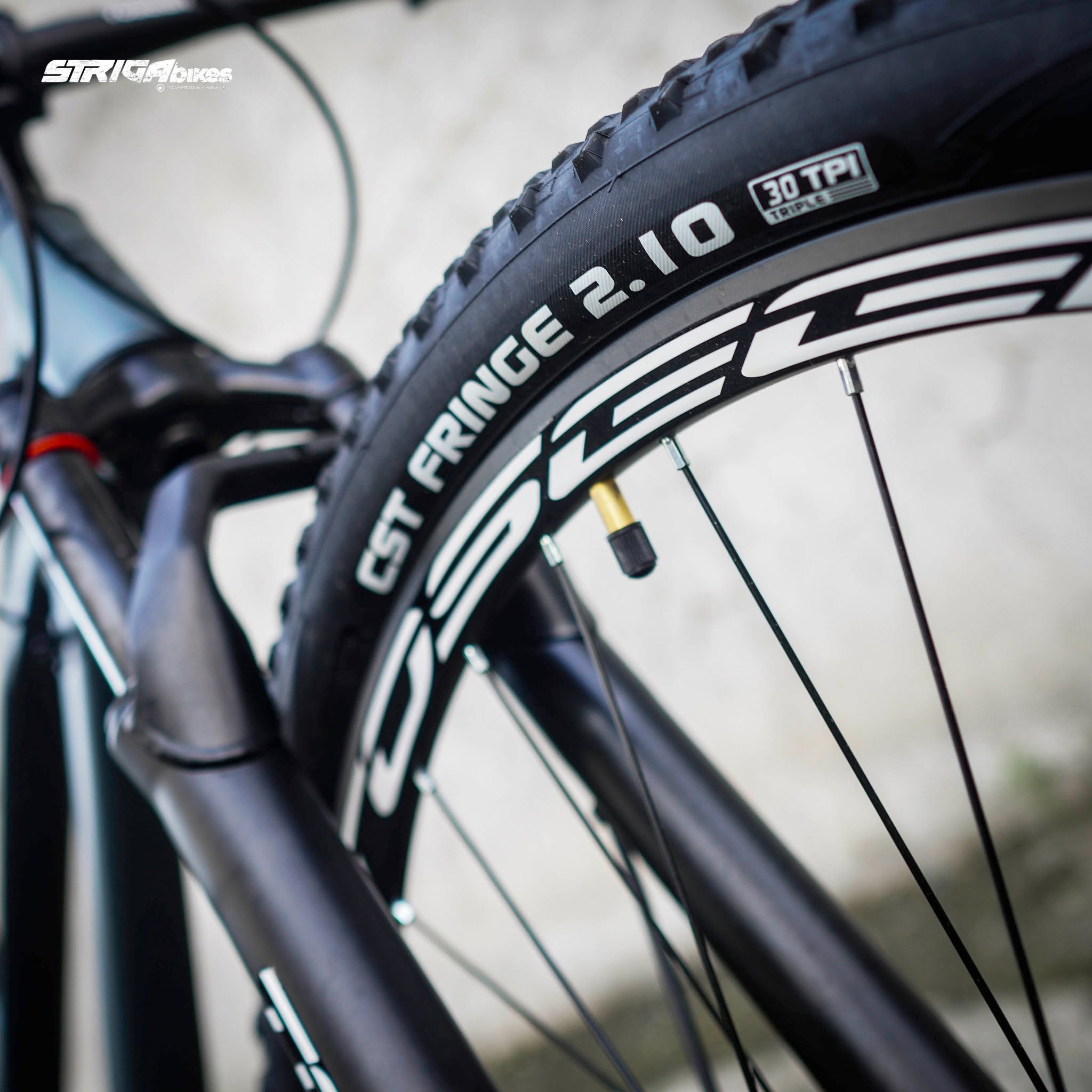 Toseek Brandon V3S 27.5er