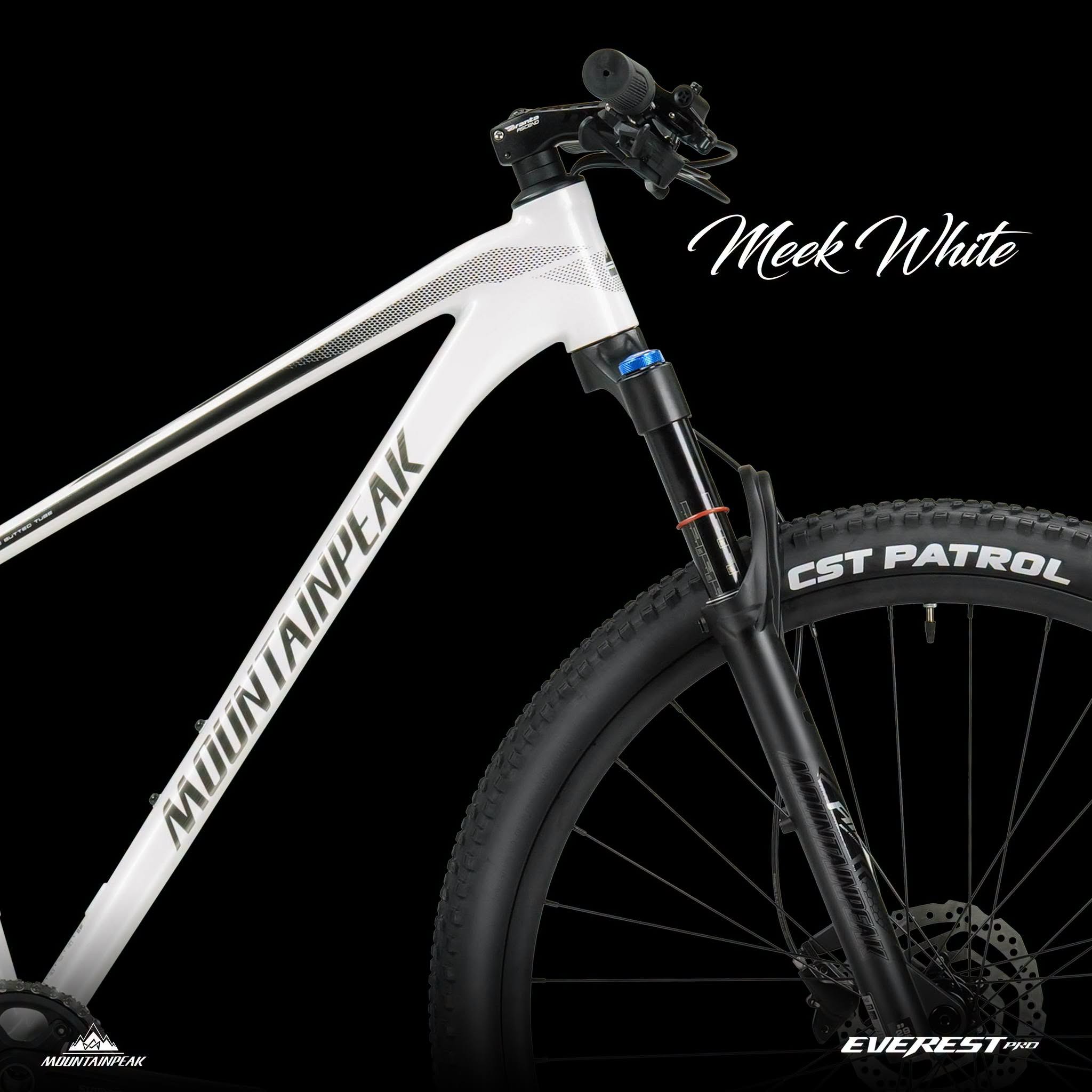 Mountainpeak Everest PRO 29er Shimano Deore 12s MIXED
