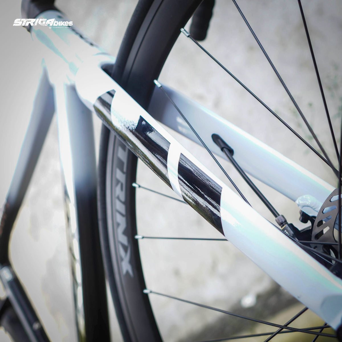 Trinx Swift Sensah Phi Hydraulic 700c