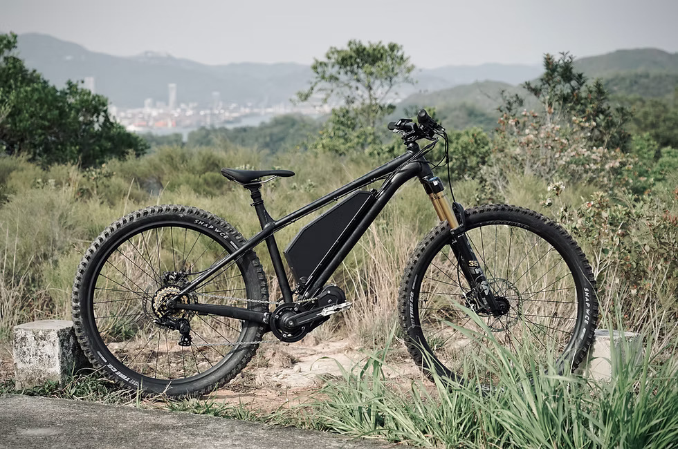 Striga Bikes