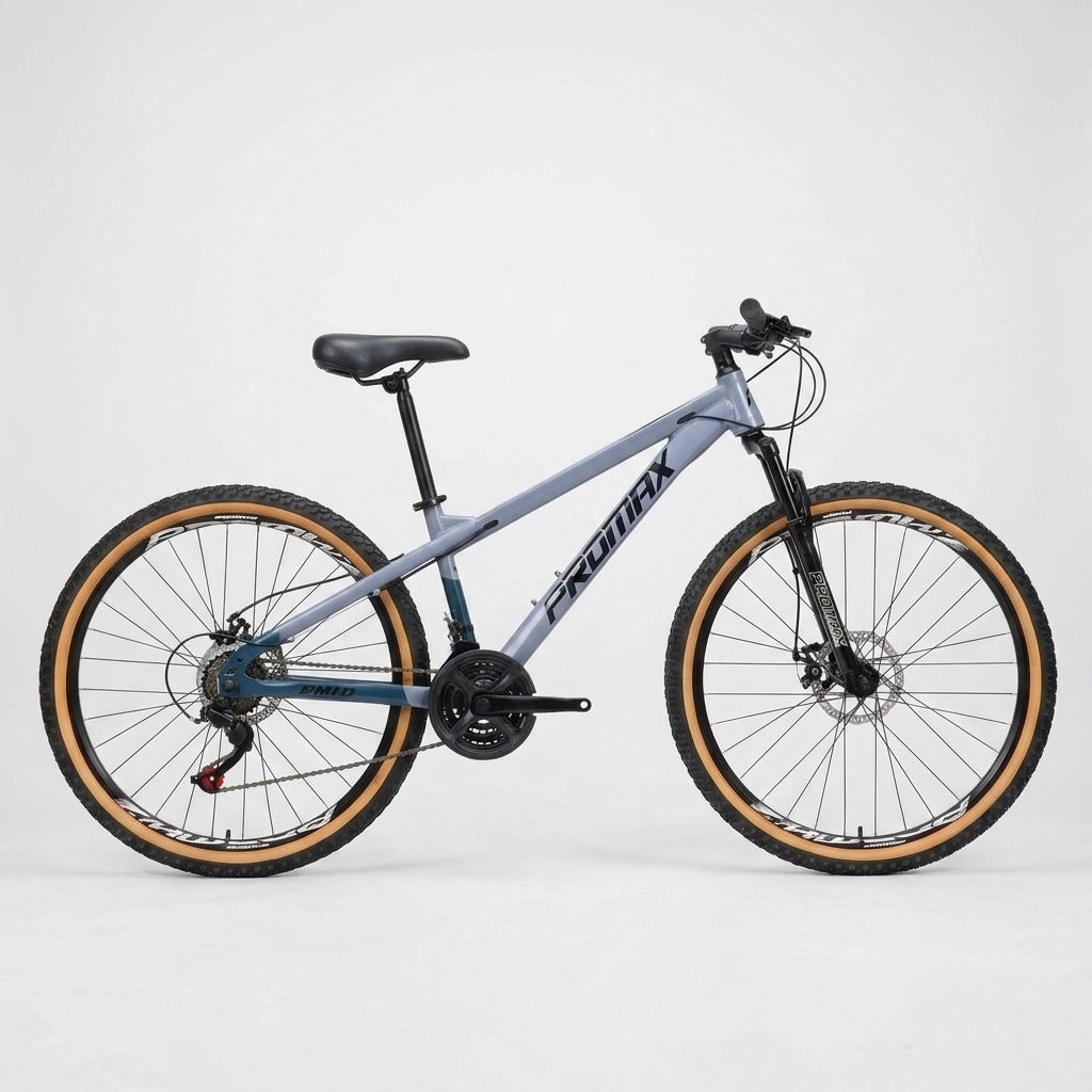 Promax PM10 2026 26er Steel Frame